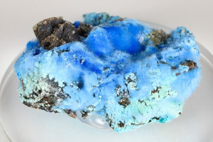 Vibrant Blue, Cyanotrichite Crystal Aggregates - China #183986